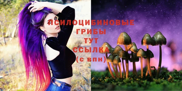 MESCALINE Баксан